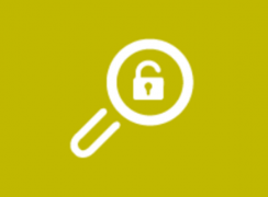VulnScan as a Service